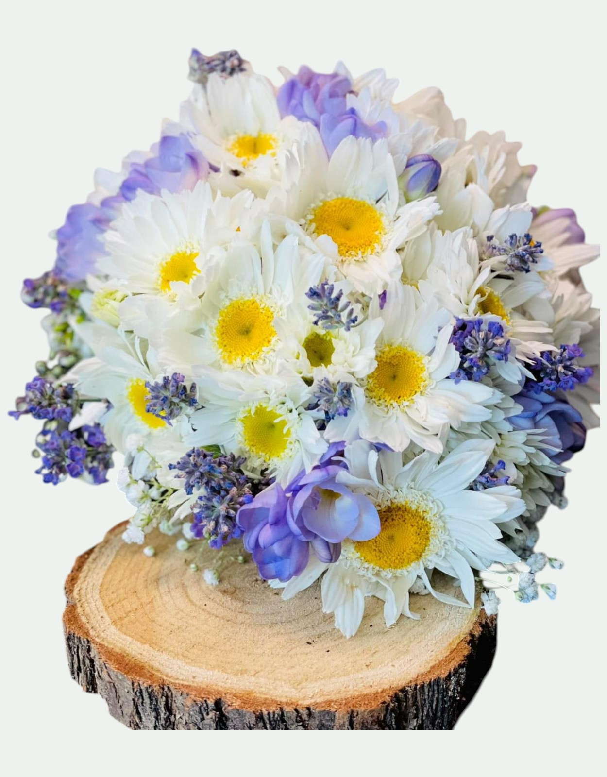 Buchet mireasă rustic cu margarete albe, lavandă naturală și frezii lila pe felie de lemn – Florăria Iedera Jibou