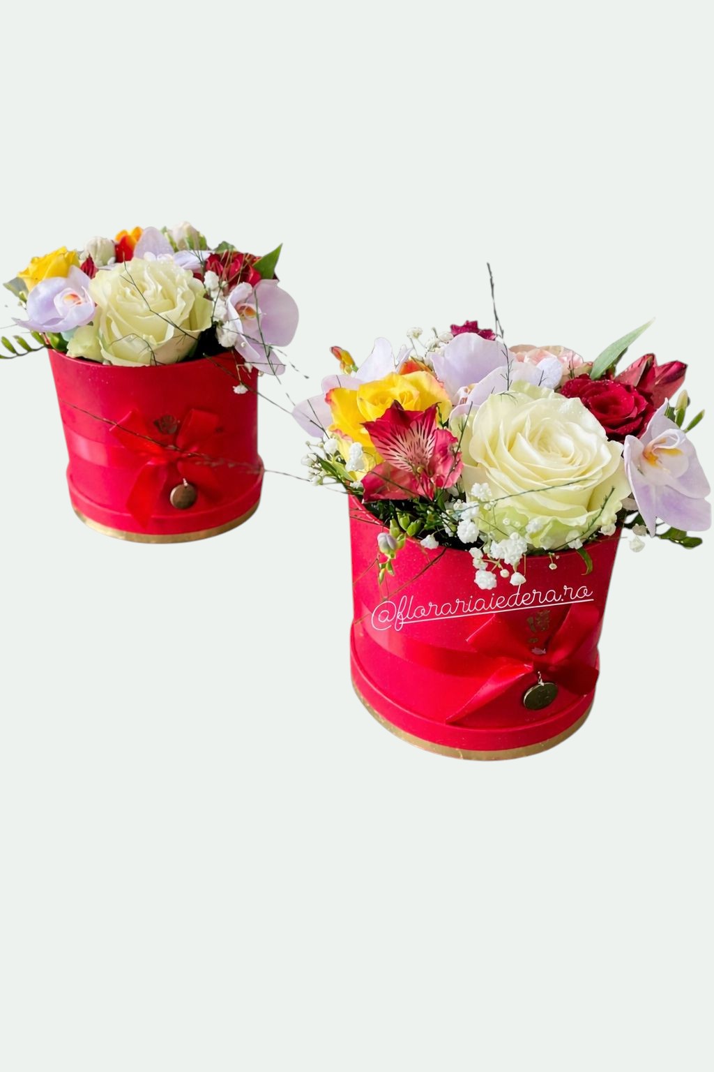 Cutie Roșie Regală cu trandafiri albi, orhidee și alstroemeria — Florăria Iedera Jibou